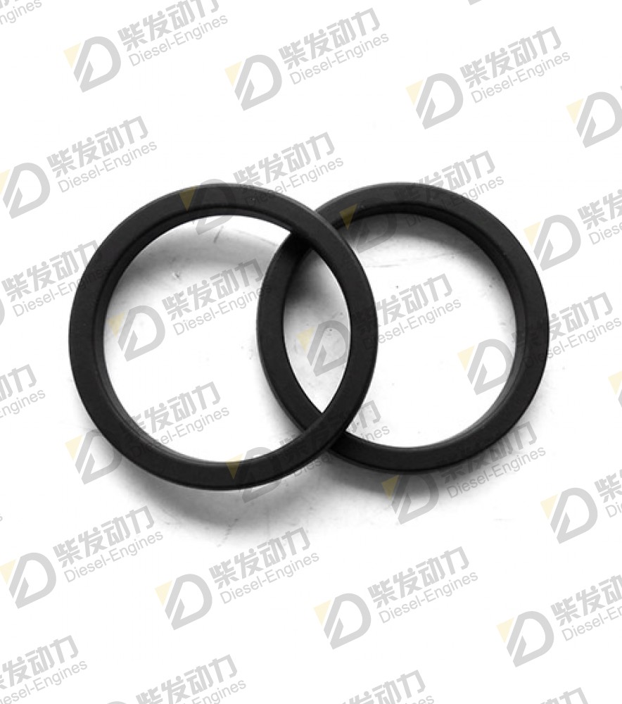 Sealing ring 20723207 